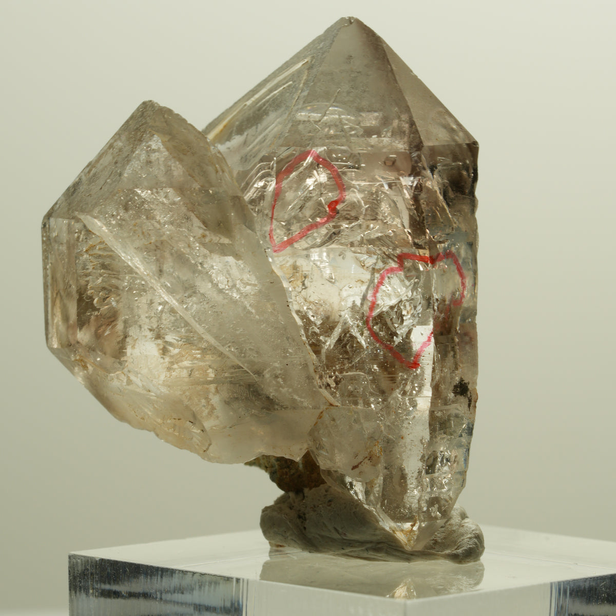 Enhydro Phantom Rauchquarz Skelett Doppelender, 2x Blase Goboboseb, Namibia 34*28*21mm #14262