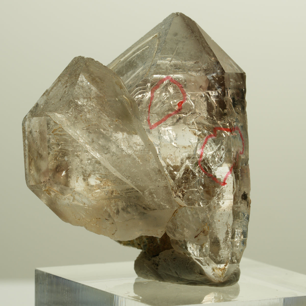 Enhydro Phantom Rauchquarz Skelett Doppelender, 2x Blase Goboboseb, Namibia 34*28*21mm #14262