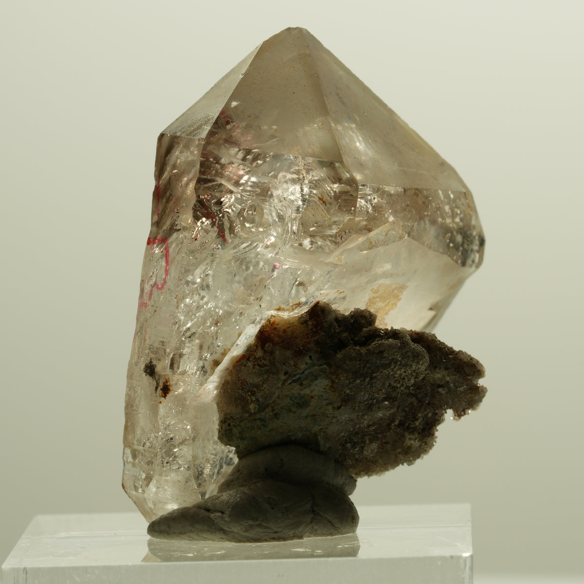 Enhydro Phantom Rauchquarz Skelett Doppelender, 2x Blase Goboboseb, Namibia 34*28*21mm #14262