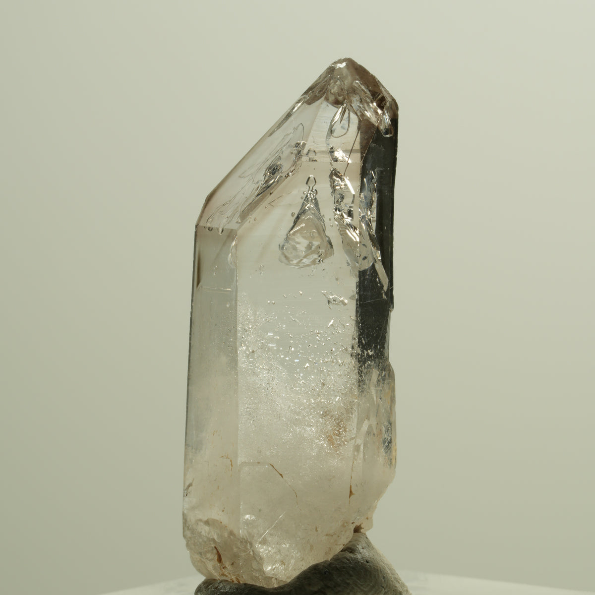 Skelett Fenster Phantom Rauchquarz Zepter Spitze Goboboseb, Namibia 36*13*9mm #14266