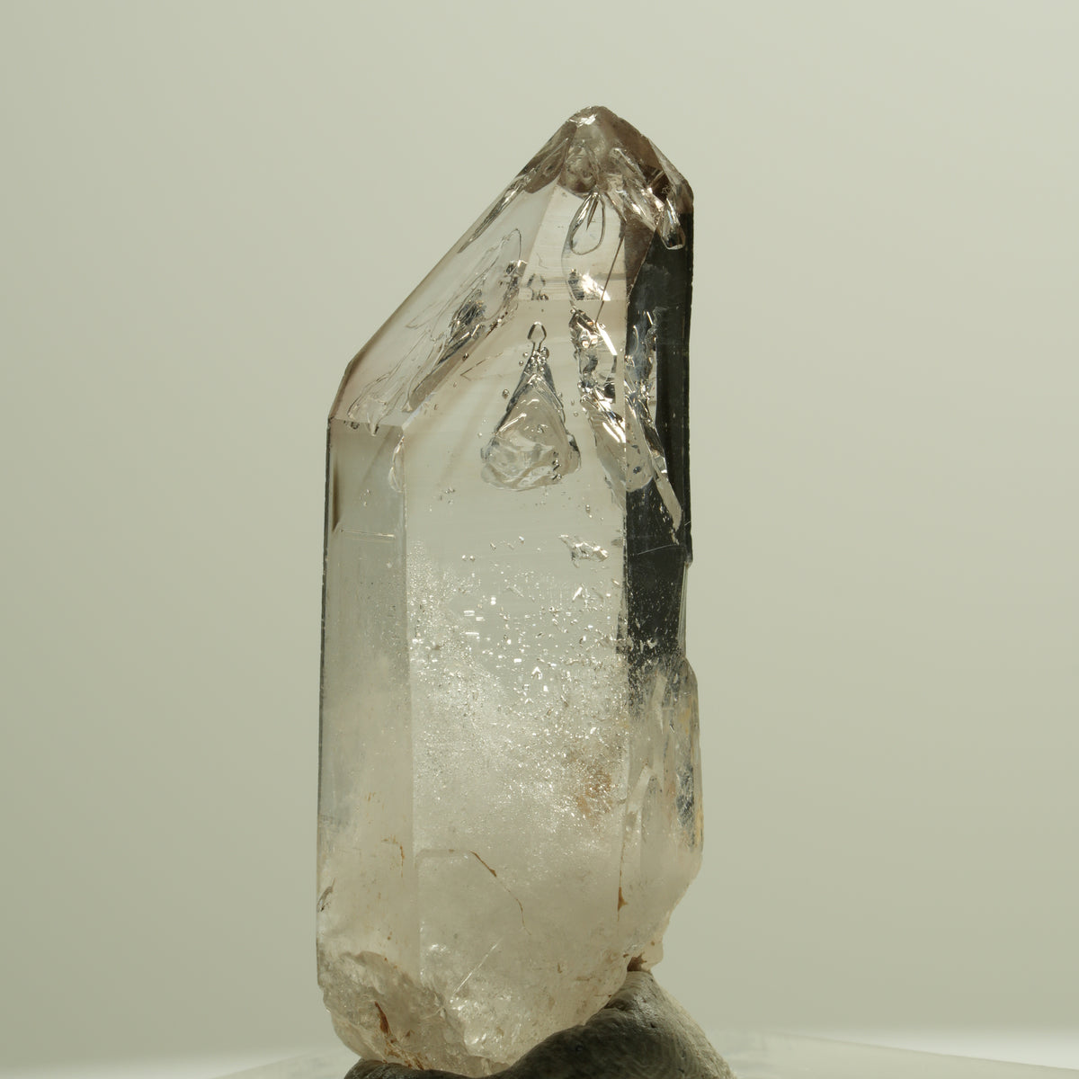 Skelett Fenster Phantom Rauchquarz Zepter Spitze Goboboseb, Namibia 36*13*9mm #14266