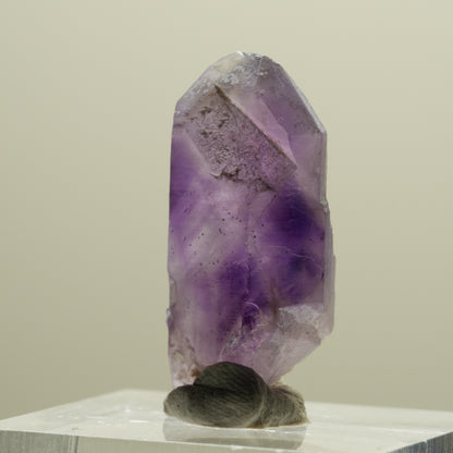 Seltene Skelett Phantom Amethyst Spitze Brandberg, Namibia 26*12*10mm #14272