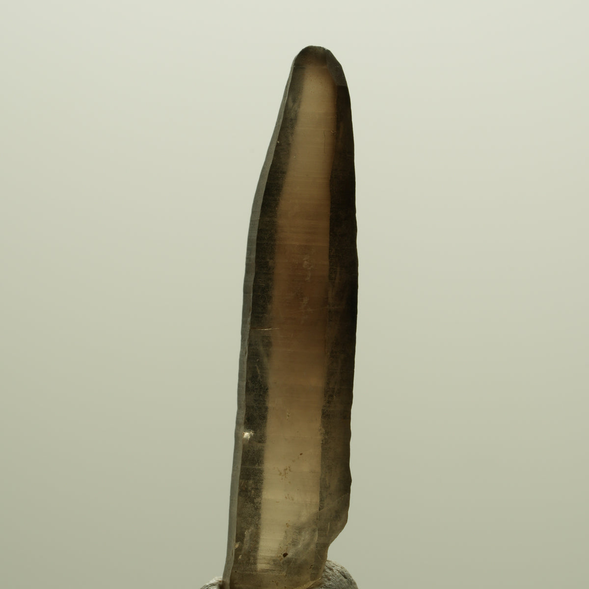 Seltene Phantom Skelett Rauchquarz Spitze Erongo, Namibia 39*08*06mm #14274