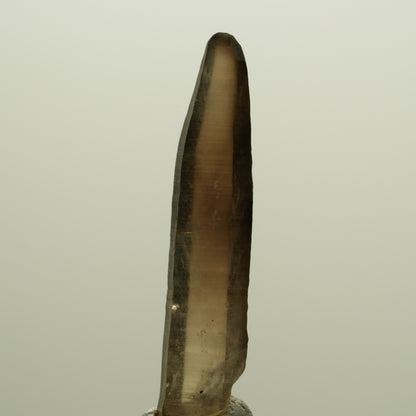Seltene Phantom Skelett Rauchquarz Spitze Erongo, Namibia 39*08*06mm #14274