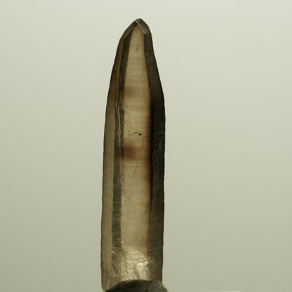 Seltene Phantom Skelett Rauchquarz Spitze Erongo, Namibia 39*08*06mm #14274