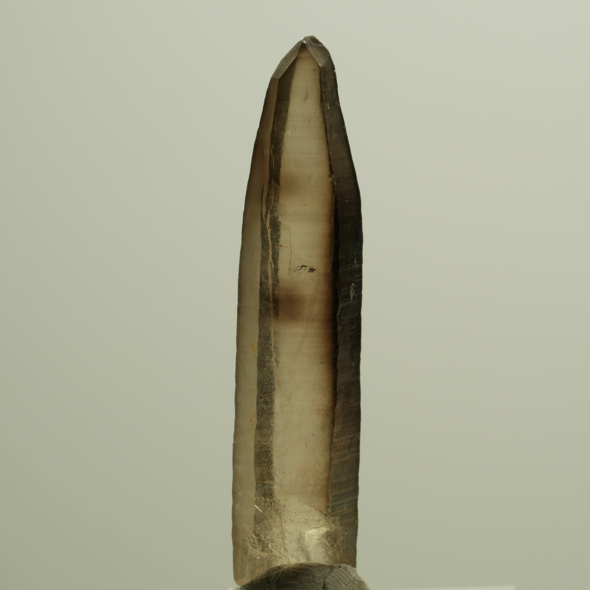 Seltene Phantom Skelett Rauchquarz Spitze Erongo, Namibia 39*08*06mm #14274