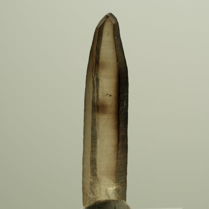 Seltene Phantom Skelett Rauchquarz Spitze Erongo, Namibia 39*08*06mm #14274