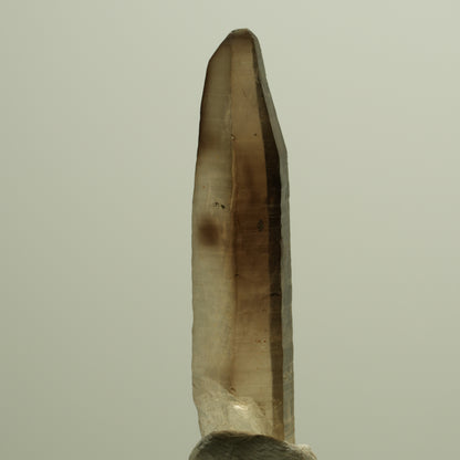 Seltene Phantom Skelett Rauchquarz Spitze Erongo, Namibia 39*08*06mm #14274