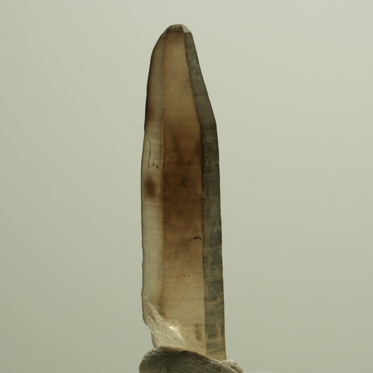 Seltene Phantom Skelett Rauchquarz Spitze Erongo, Namibia 39*08*06mm #14274