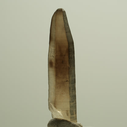Seltene Phantom Skelett Rauchquarz Spitze Erongo, Namibia 39*08*06mm #14274