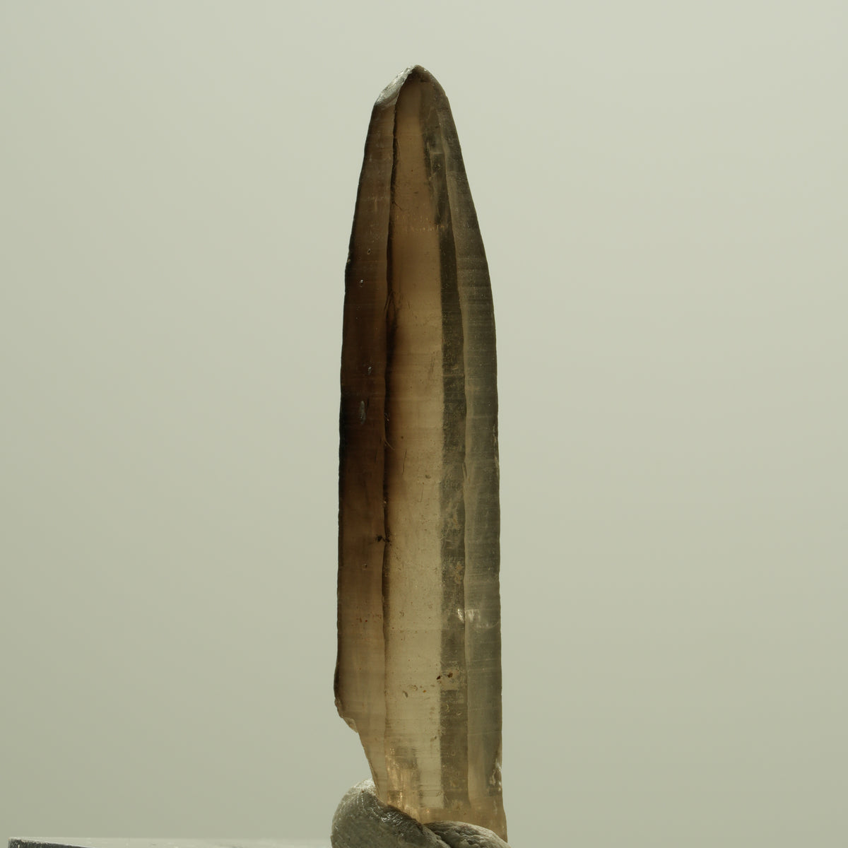 Seltene Phantom Skelett Rauchquarz Spitze Erongo, Namibia 39*08*06mm #14274