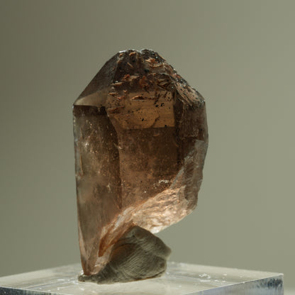Seltene Phantom Skelett Rauchquarz Spitze Goboboseb, Namibia 30*18*15mm #14275