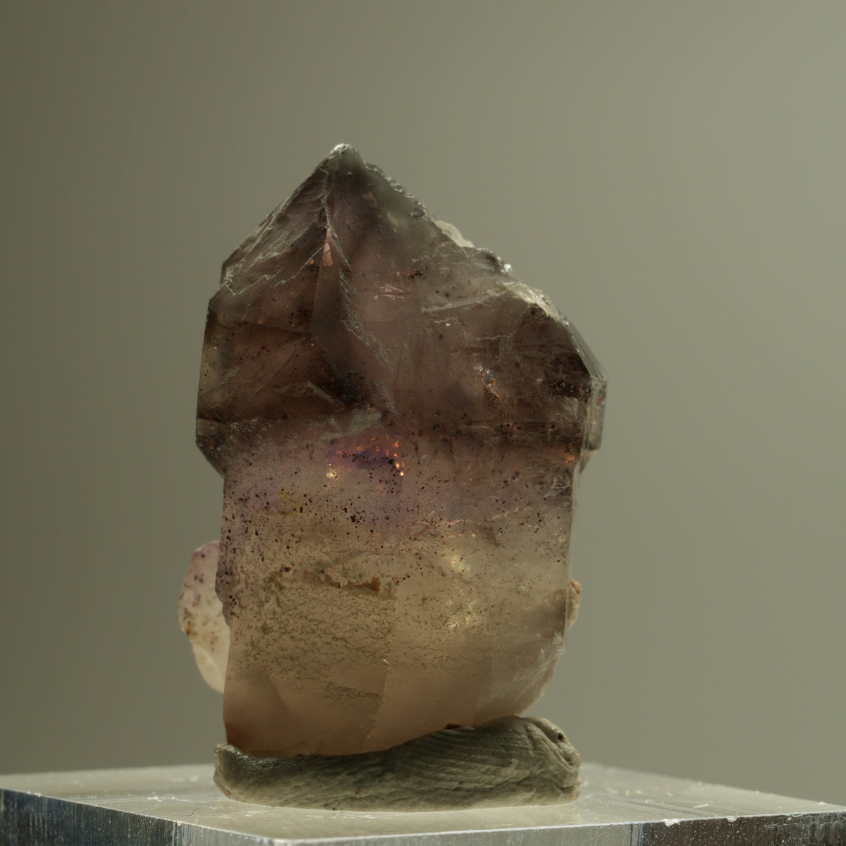 Seltene Phantom Amethyst Skelett Zepter Spitze Brandberg, Namibia 29*19*14mm #14276