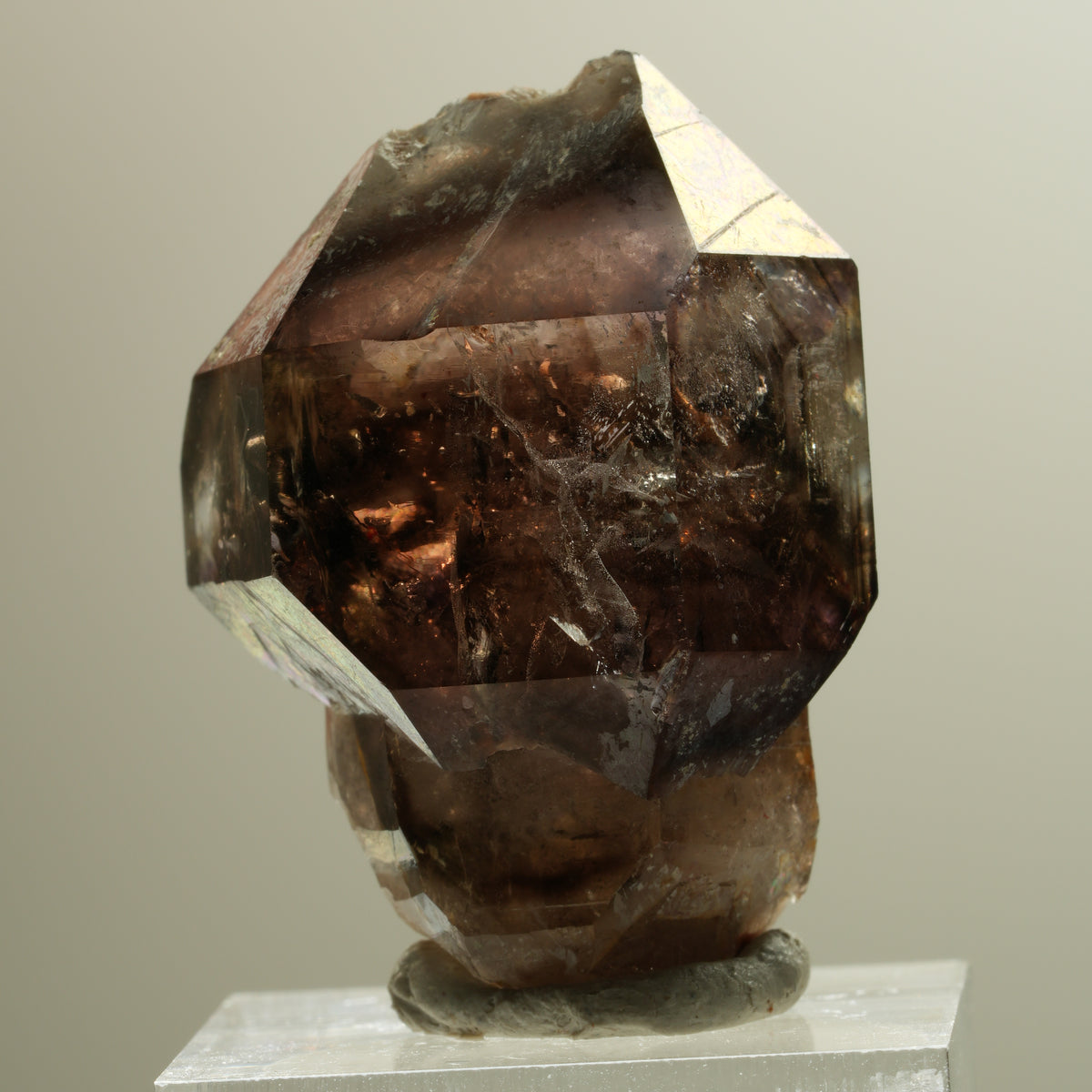 Skelett Phantom Rauchquarz Fenster Zepter Doppelender Spitze Goboboseb, Namibia 37*28*24mm #14281