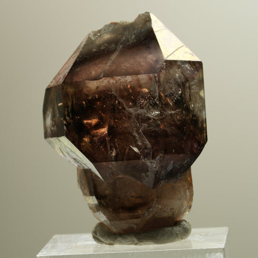 Skelett Phantom Rauchquarz Fenster Zepter Doppelender Spitze Goboboseb, Namibia 37*28*24mm #14281