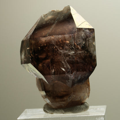 Skelett Phantom Rauchquarz Fenster Zepter Doppelender Spitze Goboboseb, Namibia 37*28*24mm #14281