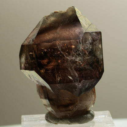 Skelett Phantom Rauchquarz Fenster Zepter Doppelender Spitze Goboboseb, Namibia 37*28*24mm #14281