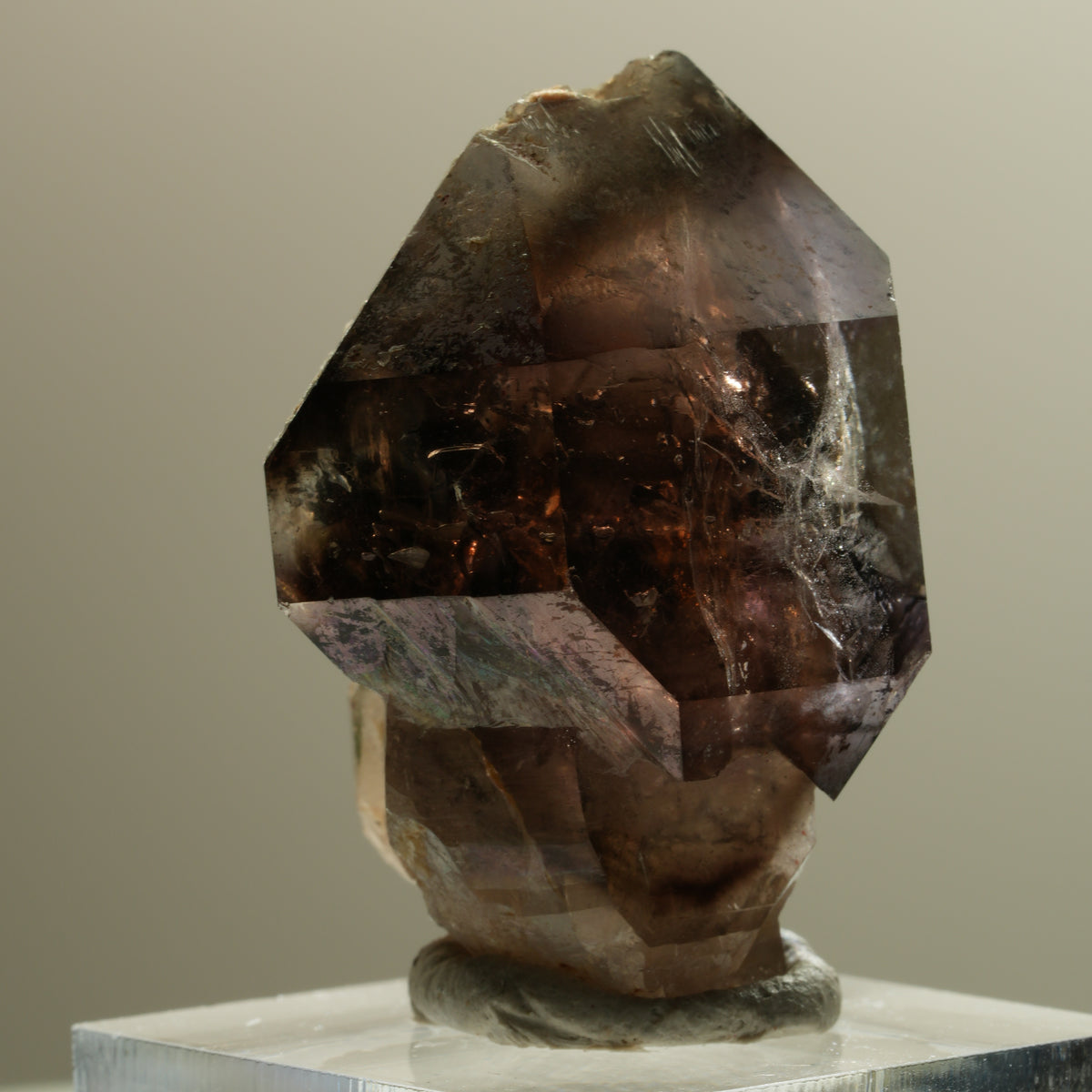 Skelett Phantom Rauchquarz Fenster Zepter Doppelender Spitze Goboboseb, Namibia 37*28*24mm #14281