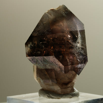 Skelett Phantom Rauchquarz Fenster Zepter Doppelender Spitze Goboboseb, Namibia 37*28*24mm #14281