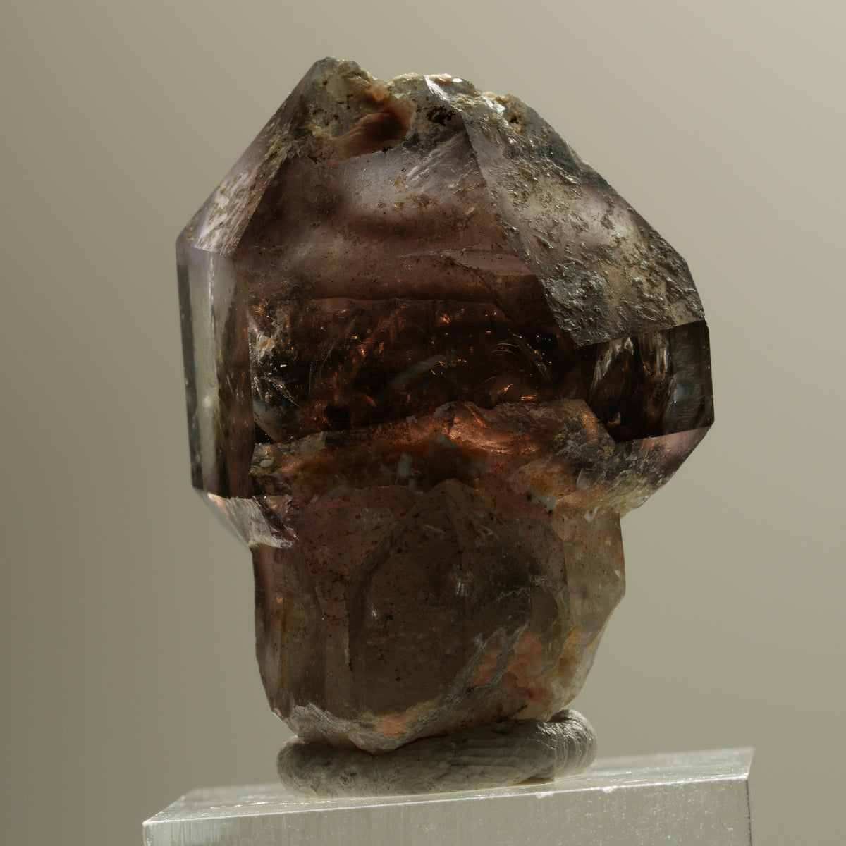 Skelett Phantom Rauchquarz Fenster Zepter Doppelender Spitze Goboboseb, Namibia 37*28*24mm #14281