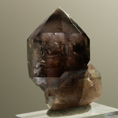 Skelett Phantom Rauchquarz Fenster Zepter Doppelender Spitze Goboboseb, Namibia 37*28*24mm #14281