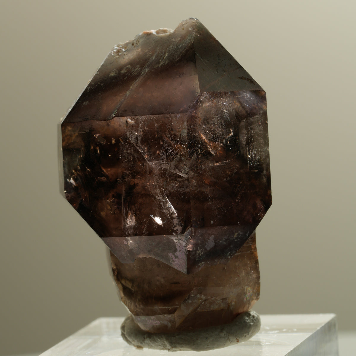 Skelett Phantom Rauchquarz Fenster Zepter Doppelender Spitze Goboboseb, Namibia 37*28*24mm #14281