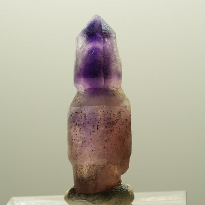 Seltene Phantom Amethyst Skelett Zepter Spitze Brandberg, Namibia 31*10*10mm #14300