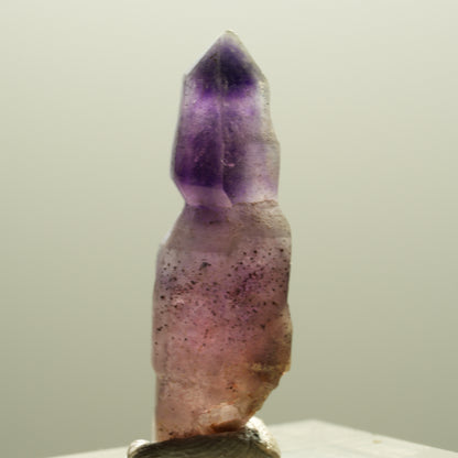 Seltene Phantom Amethyst Skelett Zepter Spitze Brandberg, Namibia 31*10*10mm #14300