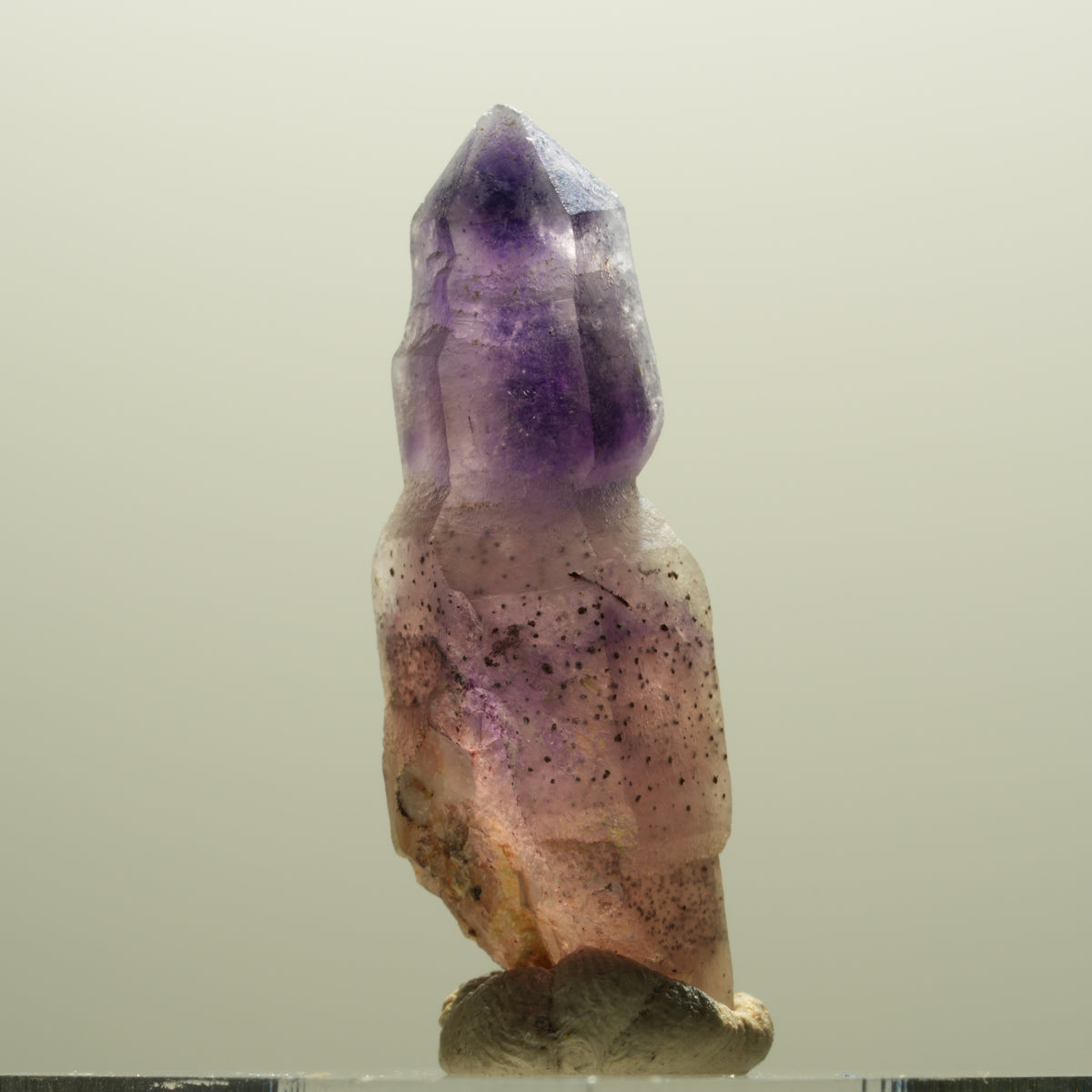 Seltene Phantom Amethyst Skelett Zepter Spitze Brandberg, Namibia 31*10*10mm #14300