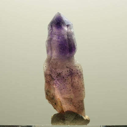 Seltene Phantom Amethyst Skelett Zepter Spitze Brandberg, Namibia 31*10*10mm #14300