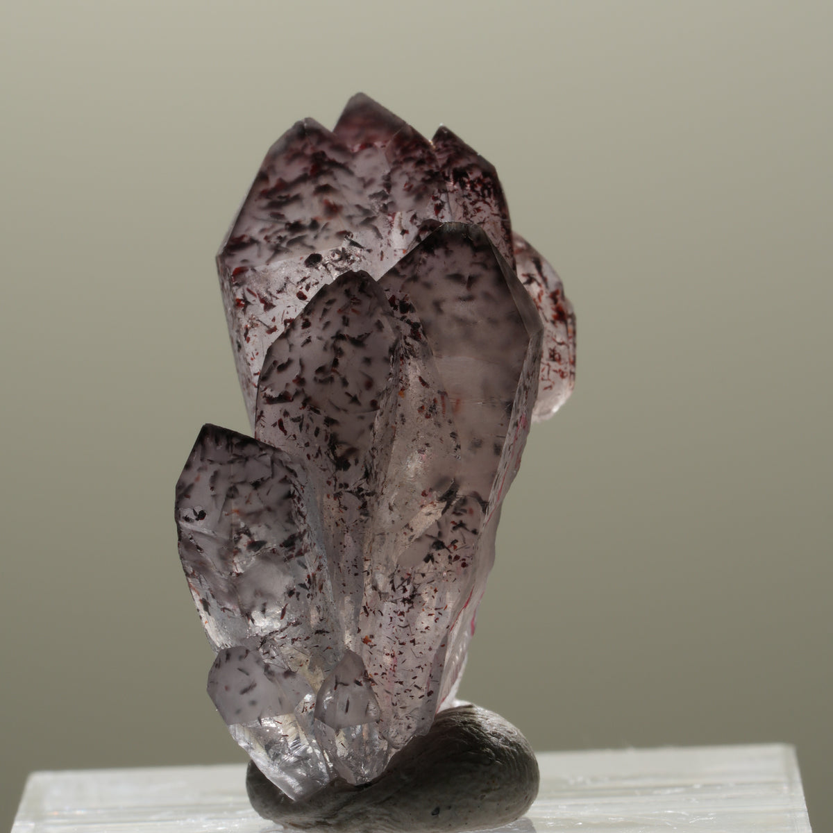 Enhydro Skelett Phantom Amethyst mit Hämatit, 1x Blase Brandberg, Namibia 27*11*15mm #14313