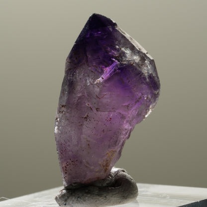 Seltene Skelett Phantom Amethyst Spitze Brandberg, Namibia 28*15*14mm #14316