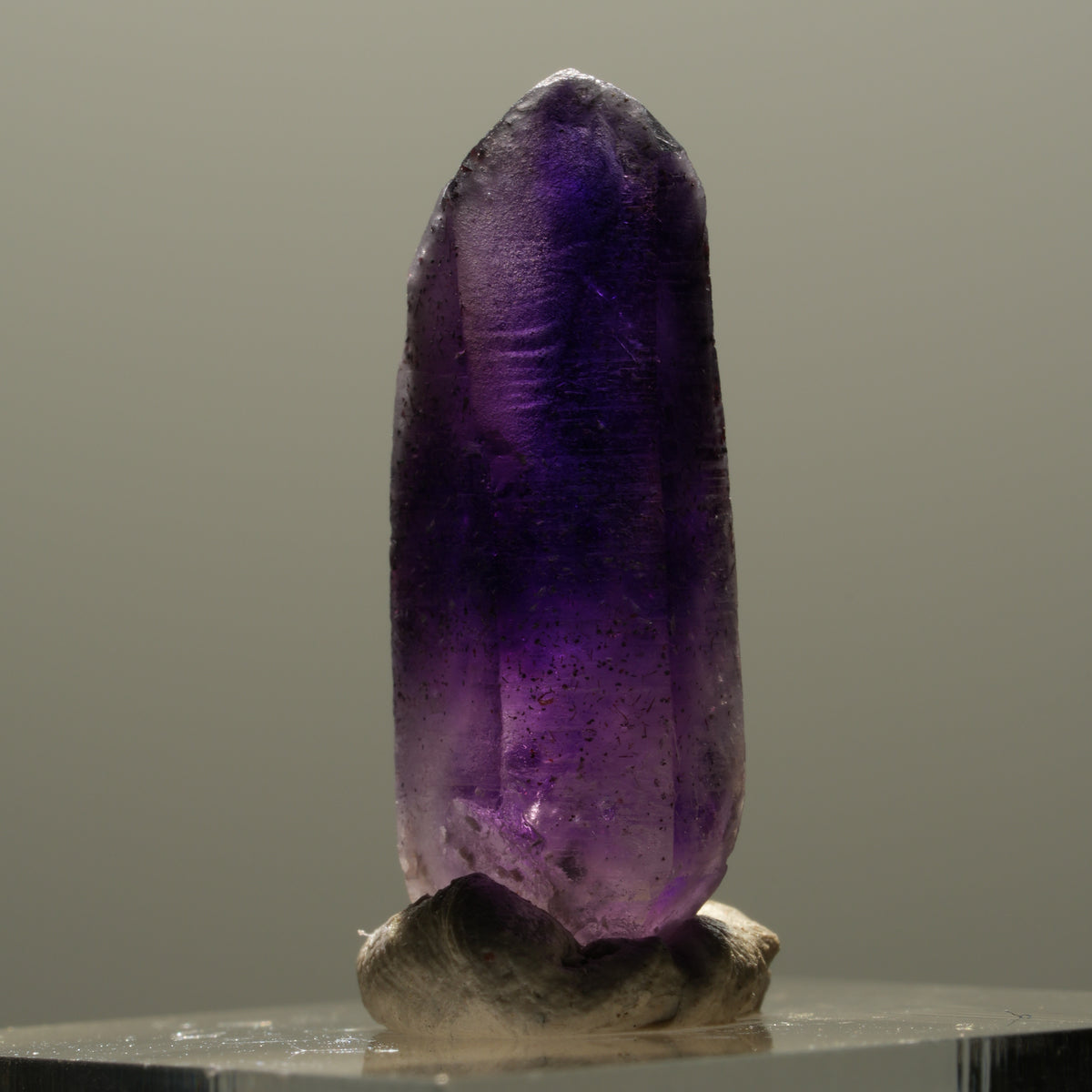 Enhydro Skelett Phantom Amethyst Spitze, 1x Blase Brandberg, Namibia 25*10*7mm #14323