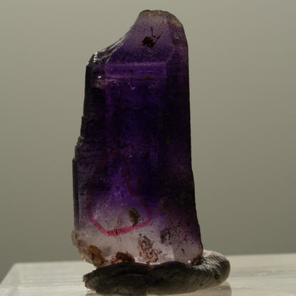Enhydro Skelett Phantom Amethyst Spitze, 1x Blase Brandberg, Namibia 25*12*7mm #14324