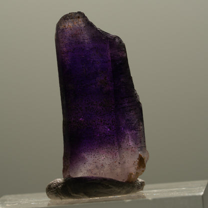 Enhydro Skelett Phantom Amethyst Spitze, 1x Blase Brandberg, Namibia 25*12*7mm #14324