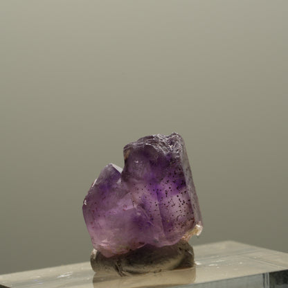 Seltene Skelett Phantom Amethyst Spitze Brandberg, Namibia 14*13*12mm #14329