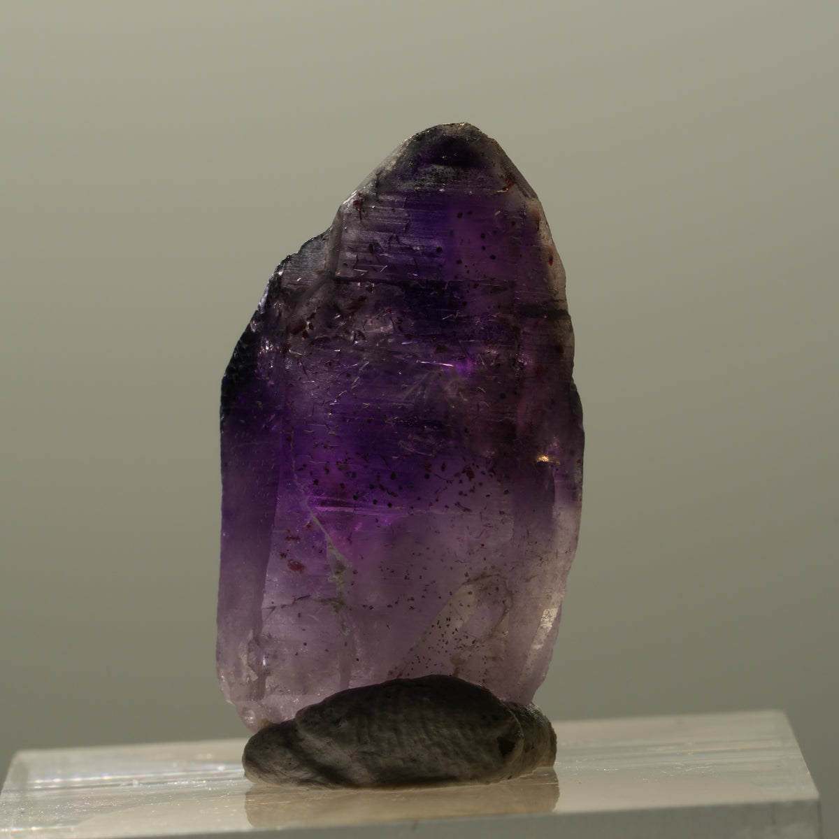 Seltene Skelett Phantom Amethyst Spitze Brandberg, Namibia 25*13*10mm #14330