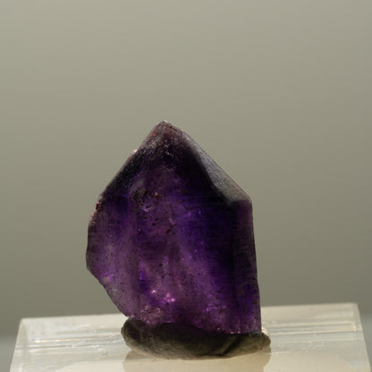 Seltene Skelett Phantom Amethyst Spitze Brandberg, Namibia 20*15*12mm #14331