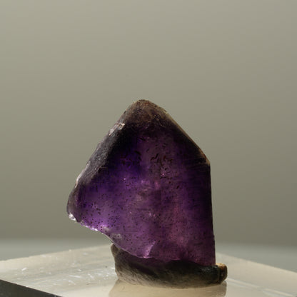 Seltene Skelett Phantom Amethyst Spitze Brandberg, Namibia 20*15*12mm #14331