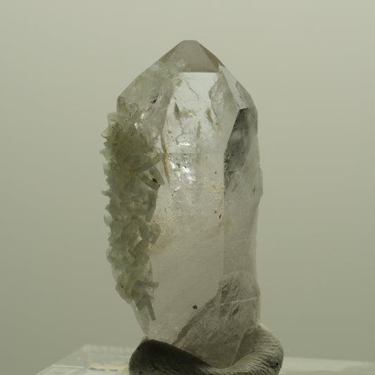 Skelett Phantom Rauchquarz mit Prehnit Streep Mine Goboboseb, Namibia 30*15*12mm #14379