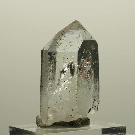 Enhydro Harlekin Lemurian Phantom Rauchquarz mit Epidot Streep Mine, Namibia 34*20*14mm #14431
