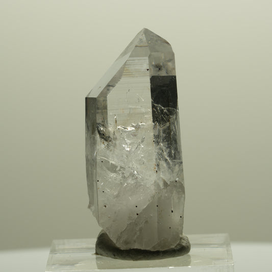 Lemurian Phantom Amethyst mit Hämatit Streep Mine, Goboboseb, Namibia 37*15*14mm #14437