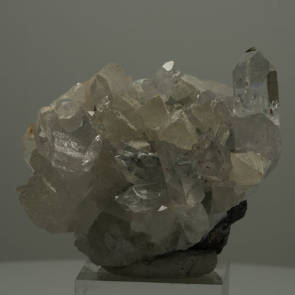 Harlekin Quarz, Calcit, Epidot auf Matrix Streep Mine, Goboboseb, Namibia 60*39*37mm #14521