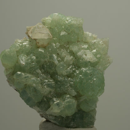 Seltene Prehnit, Calcit, Epidot Stufe Streep Mine, Goboboseb, Namibia 56*51*13mm #14525