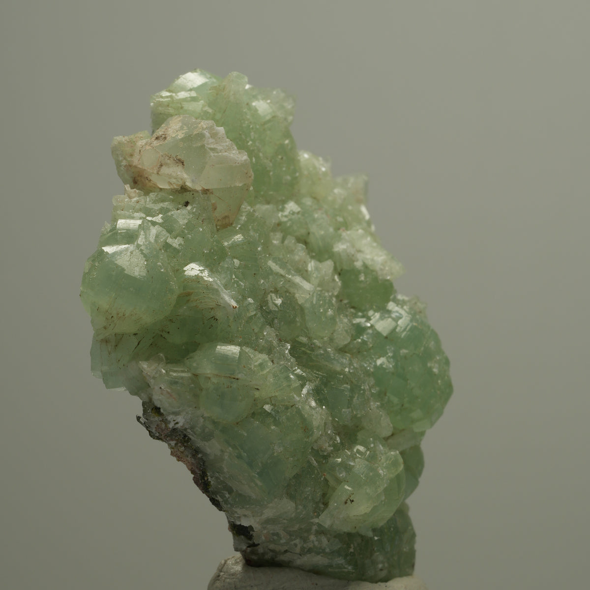 Seltene Prehnit, Calcit, Epidot Stufe Streep Mine, Goboboseb, Namibia 56*51*13mm #14525