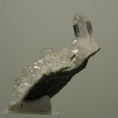 Starburst Quarz, Analcim, Prehnit Epidot Hämatit auf Matrix Streep Mine Namibia 60*42*23mm #14528