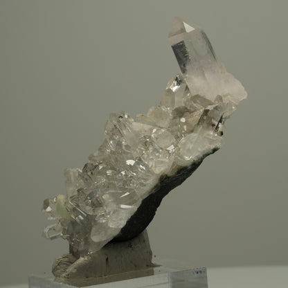 Starburst Quarz, Analcim, Prehnit Epidot Hämatit auf Matrix Streep Mine Namibia 60*42*23mm #14528