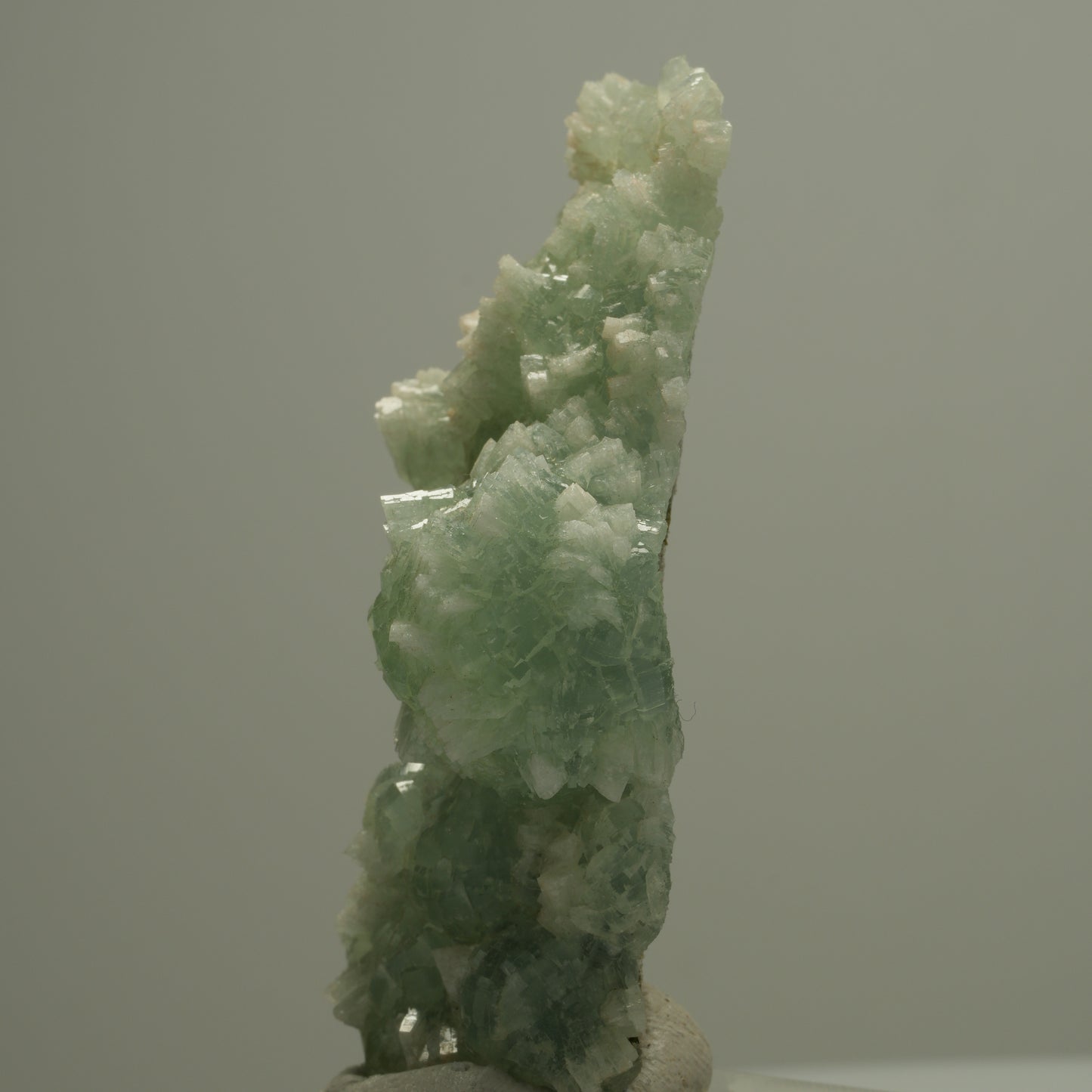 Seltene Prehnit, Epidot Stufe Streep Mine, Goboboseb, Namibia 60*36*24mm #14529