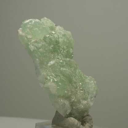 Seltene Prehnit, Calcit, Epidot Stufe Streep Mine, Goboboseb, Namibia 60*39*13mm #14531