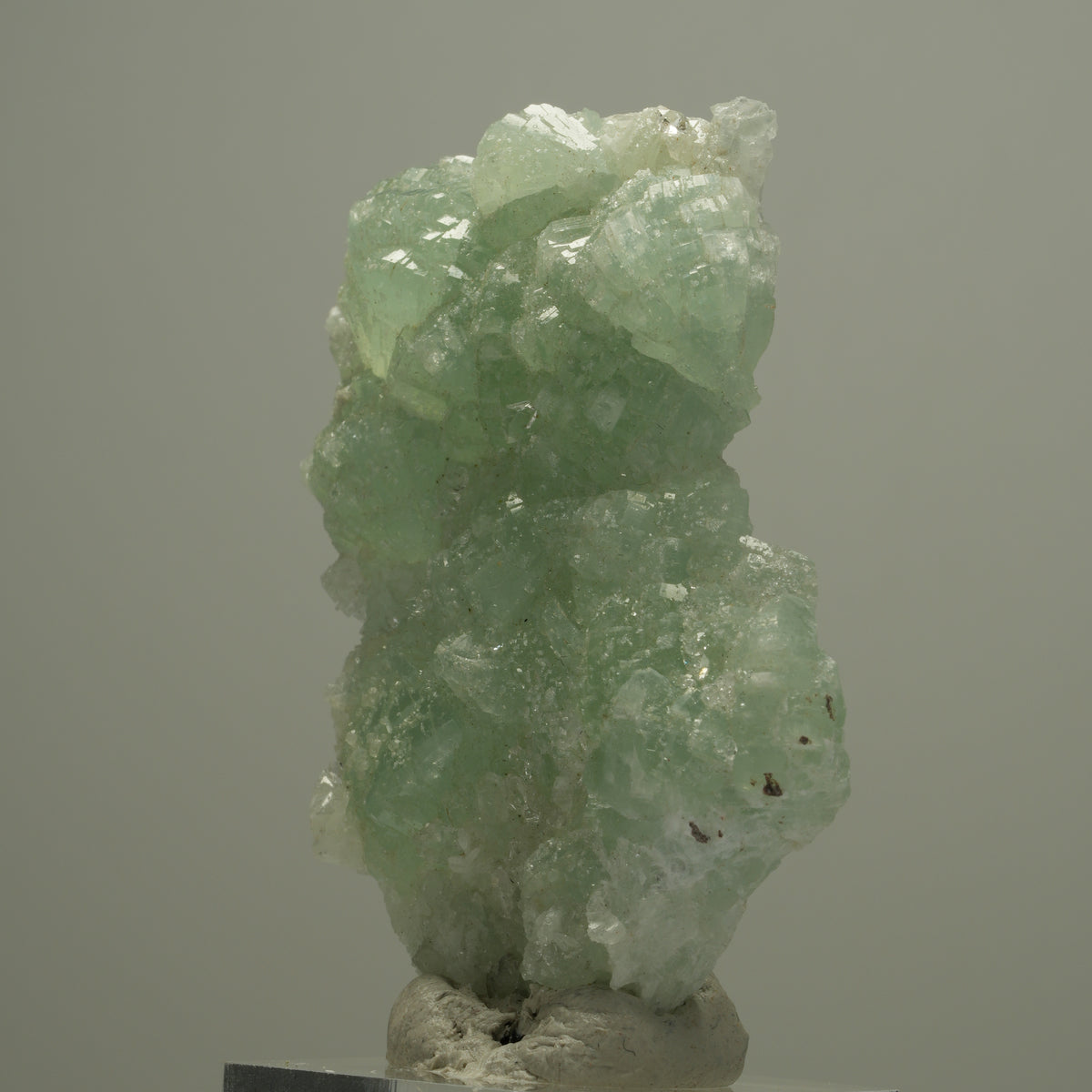 Seltene Prehnit, Calcit, Epidot Stufe Streep Mine, Goboboseb, Namibia 60*39*13mm #14531